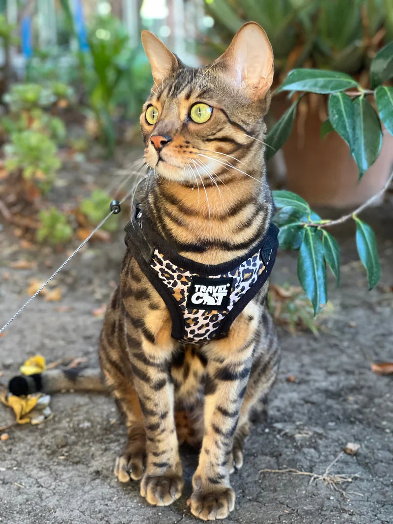 HARNESSES