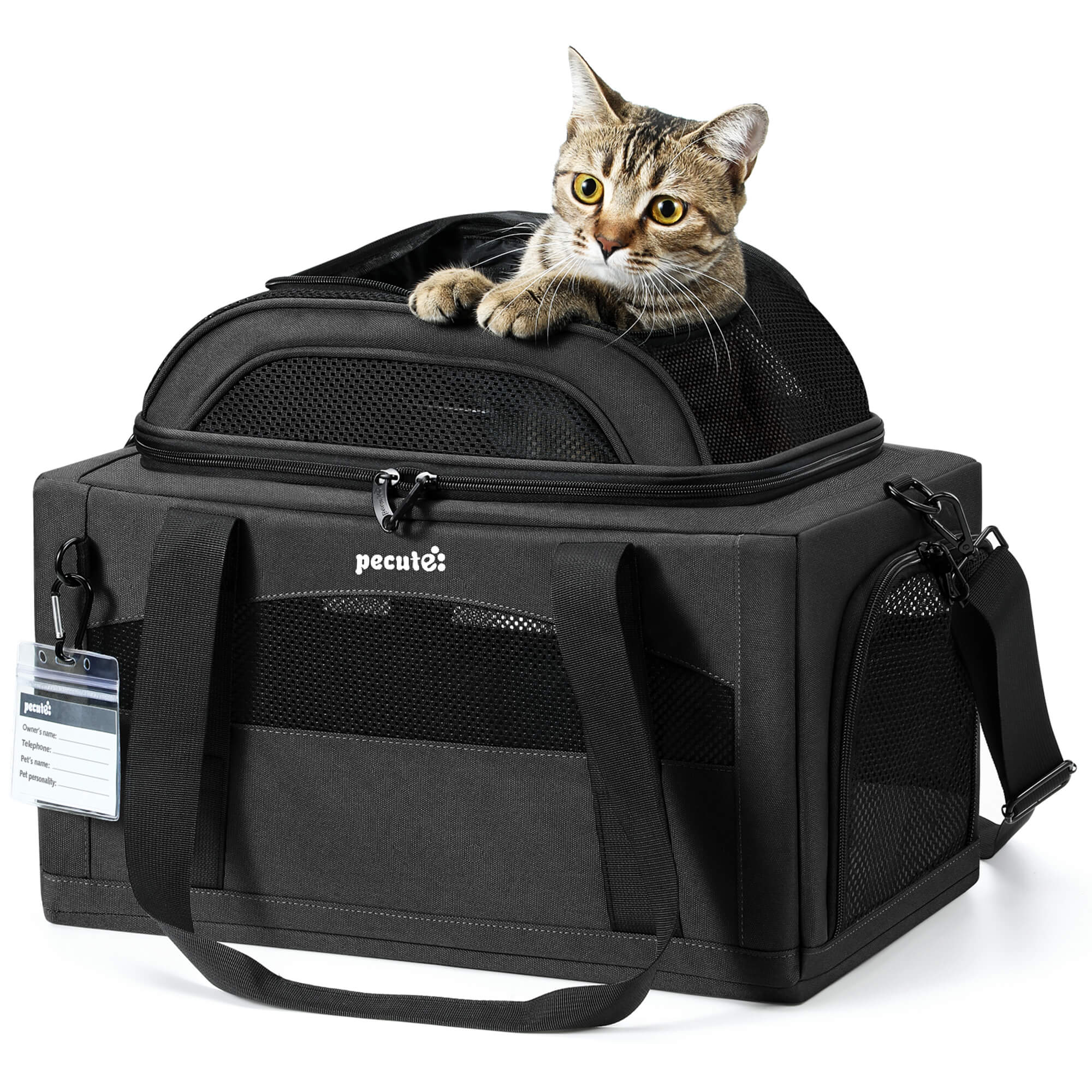 Airline Approved Expandable Pet Carrier Dog Cat Carrier with Leakproof Pee Pad