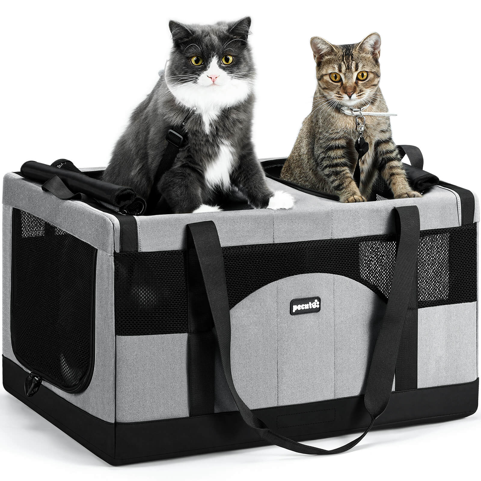 Cat Dual-Compartment Frame Handbag