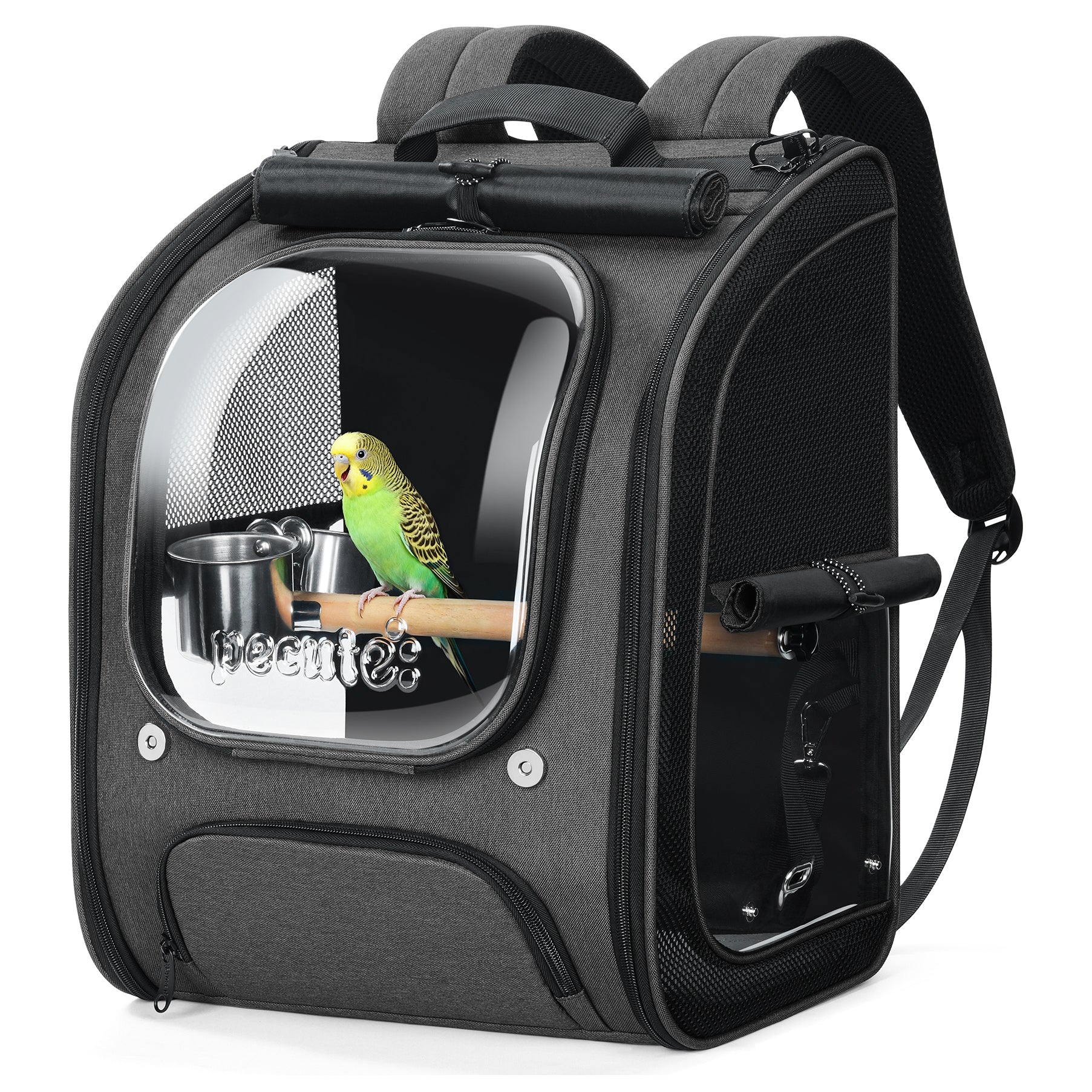 Bubble Bird Parrot Backpack