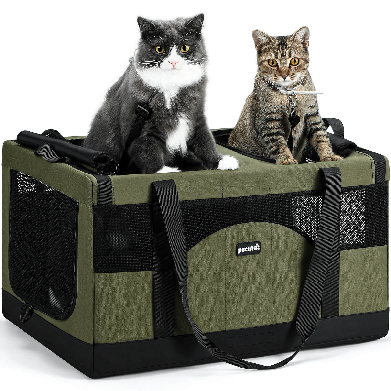 Cat Dual-Compartment Frame Handbag