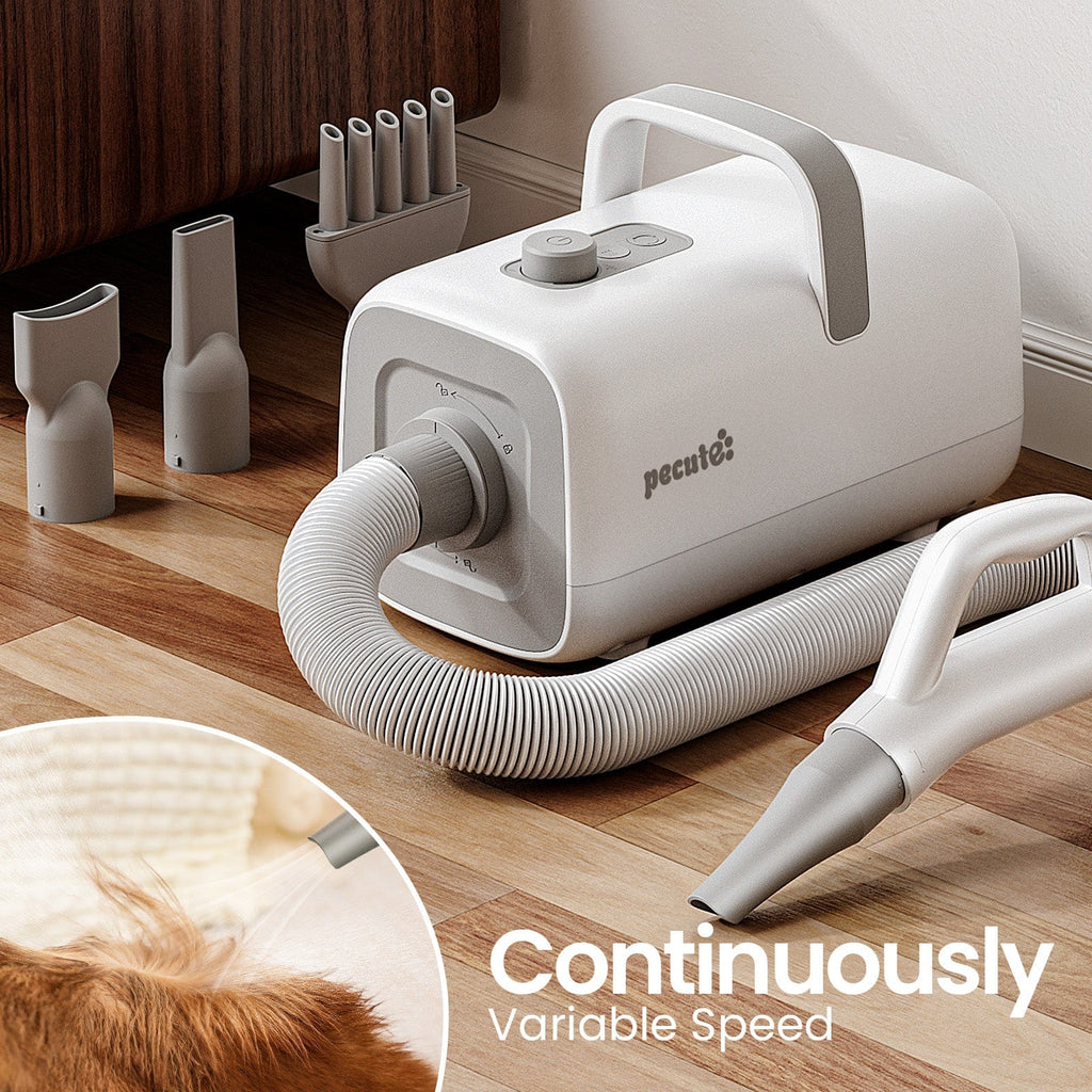 Dog Dryer with Cool-Warm-Hot Cycle Mode