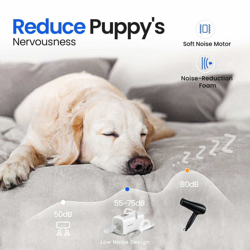 Dog Dryer with Cool-Warm-Hot Cycle Mode
