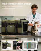 Cat Dual-Compartment Frame Handbag