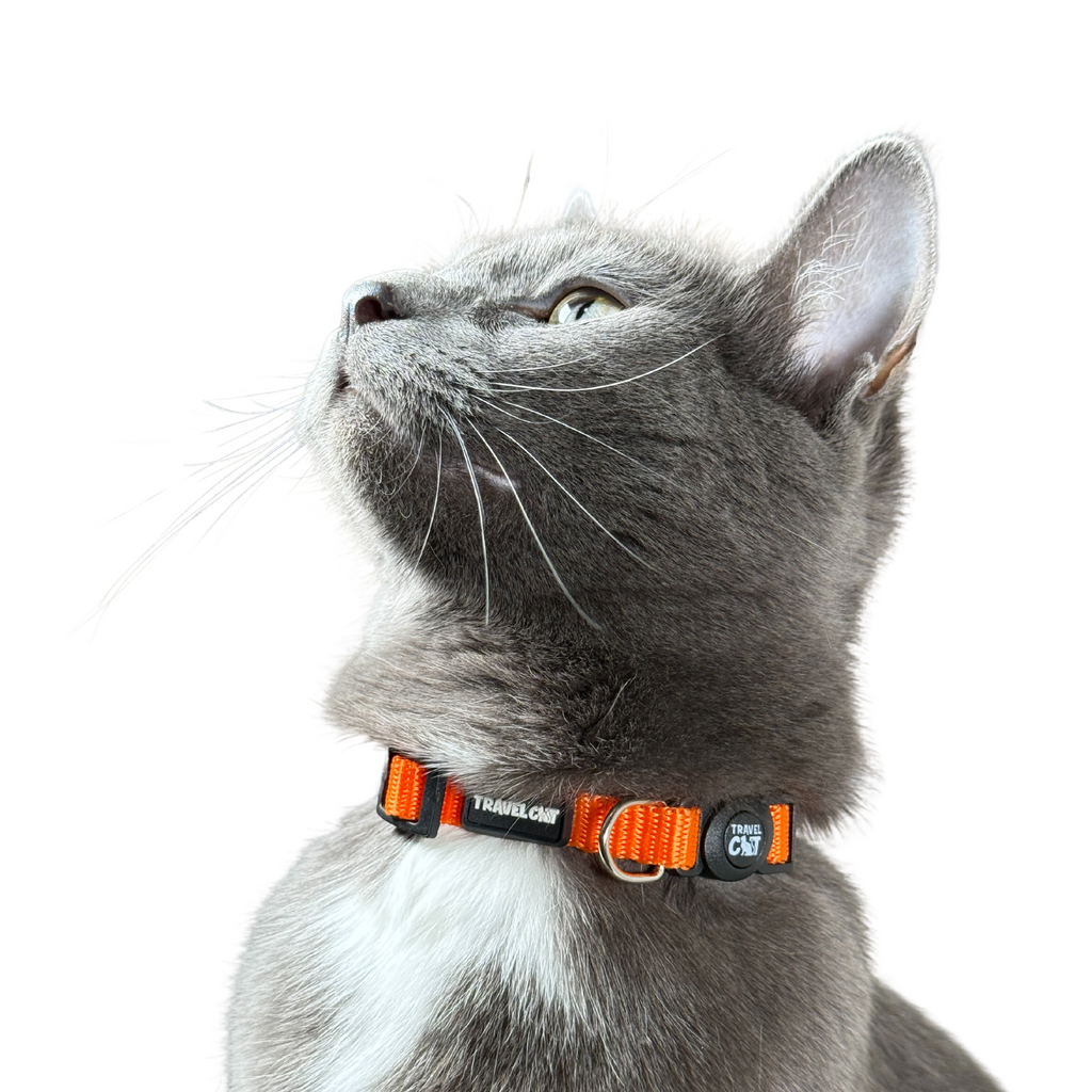“The Travel Cat” Breakaway Cat Collar