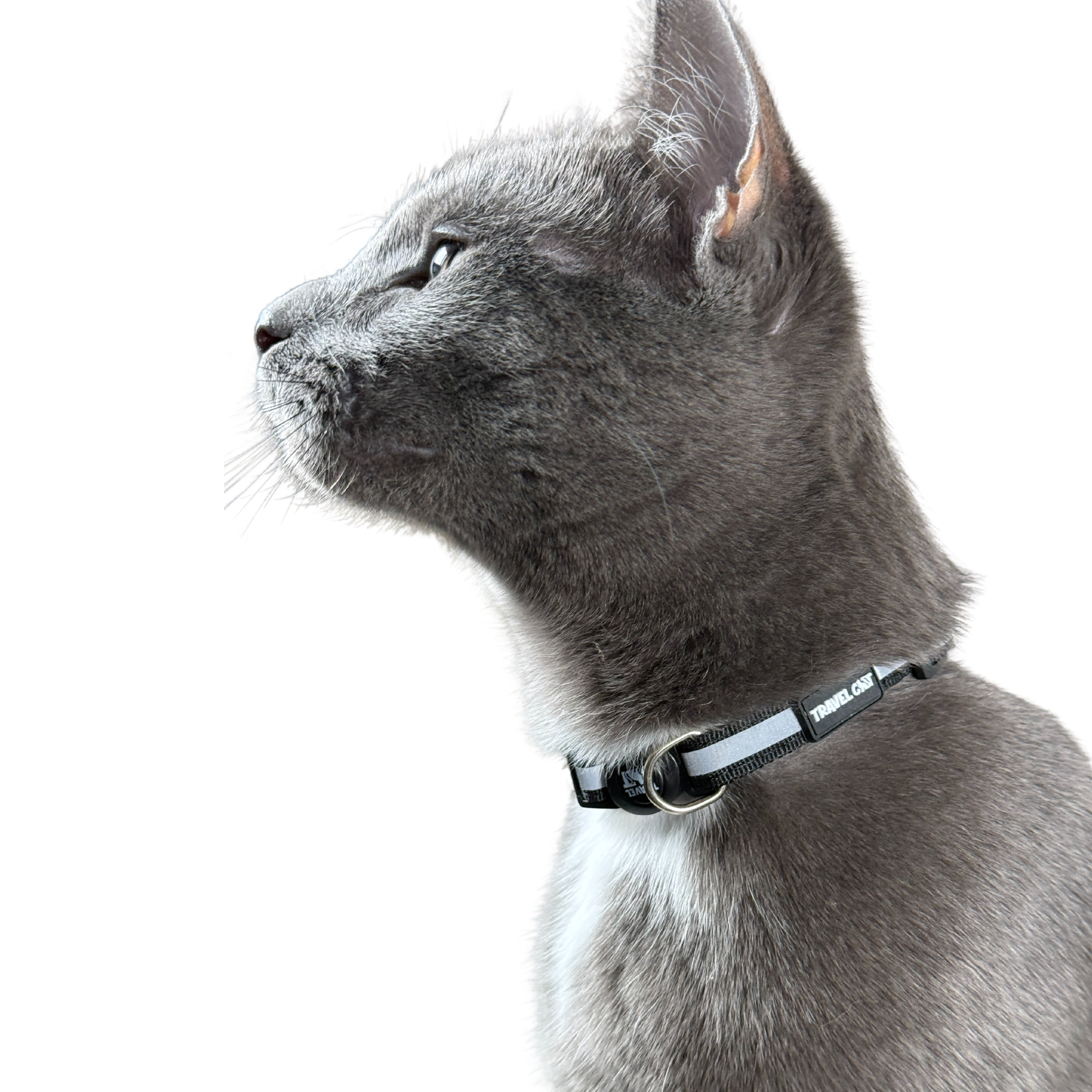“The Travel Cat” Breakaway Cat Collar