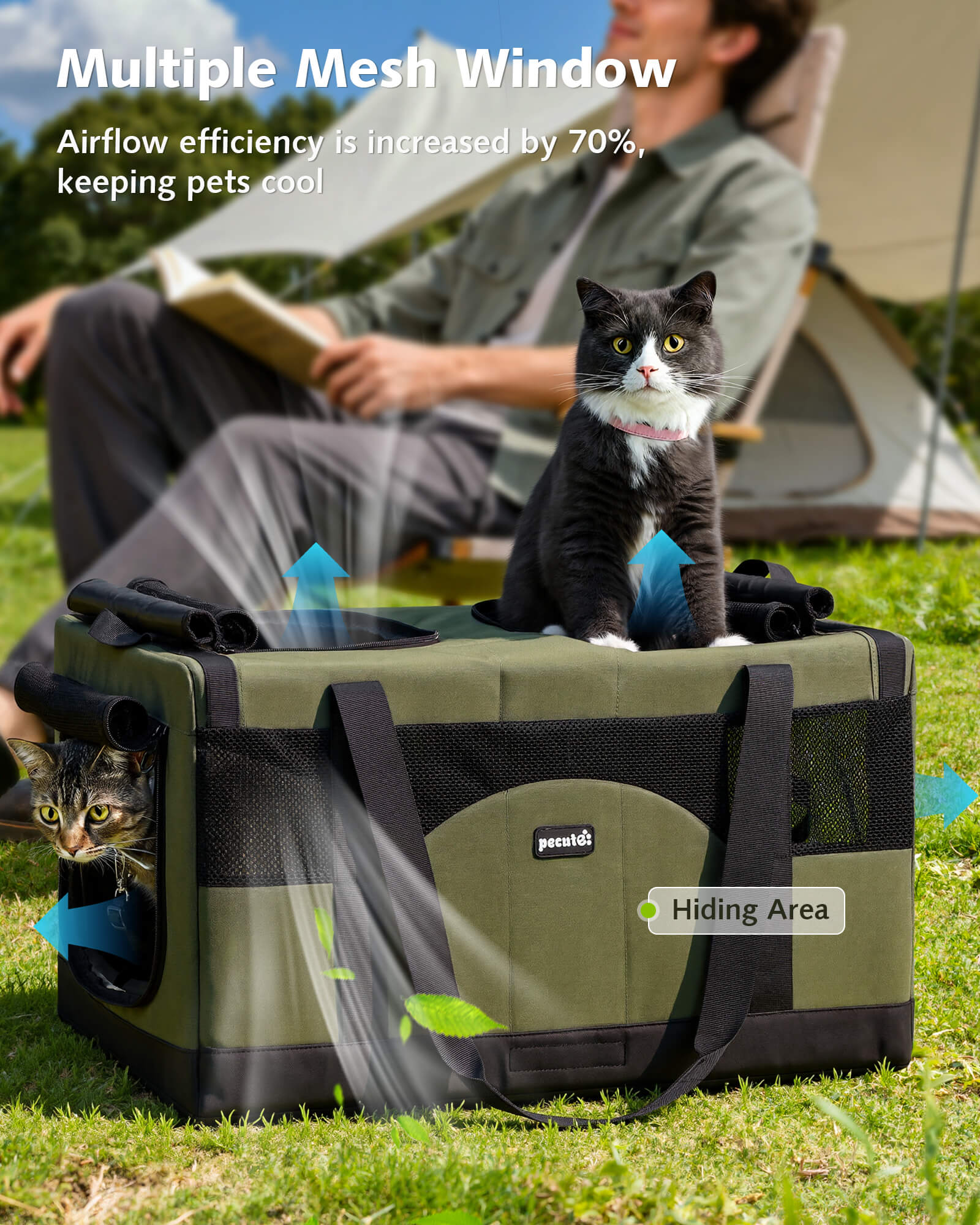 Cat Dual-Compartment Frame Handbag