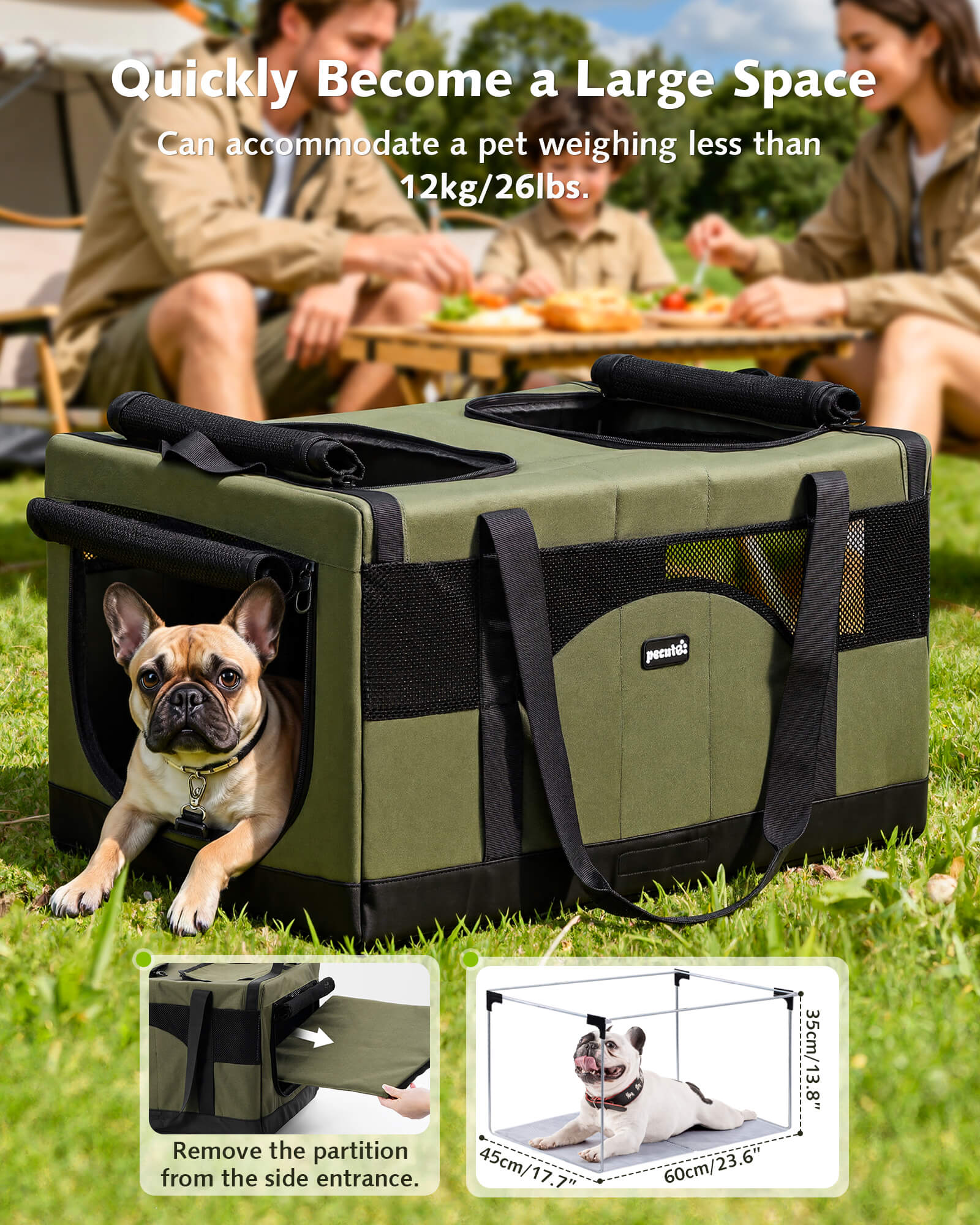 Cat Dual-Compartment Frame Handbag