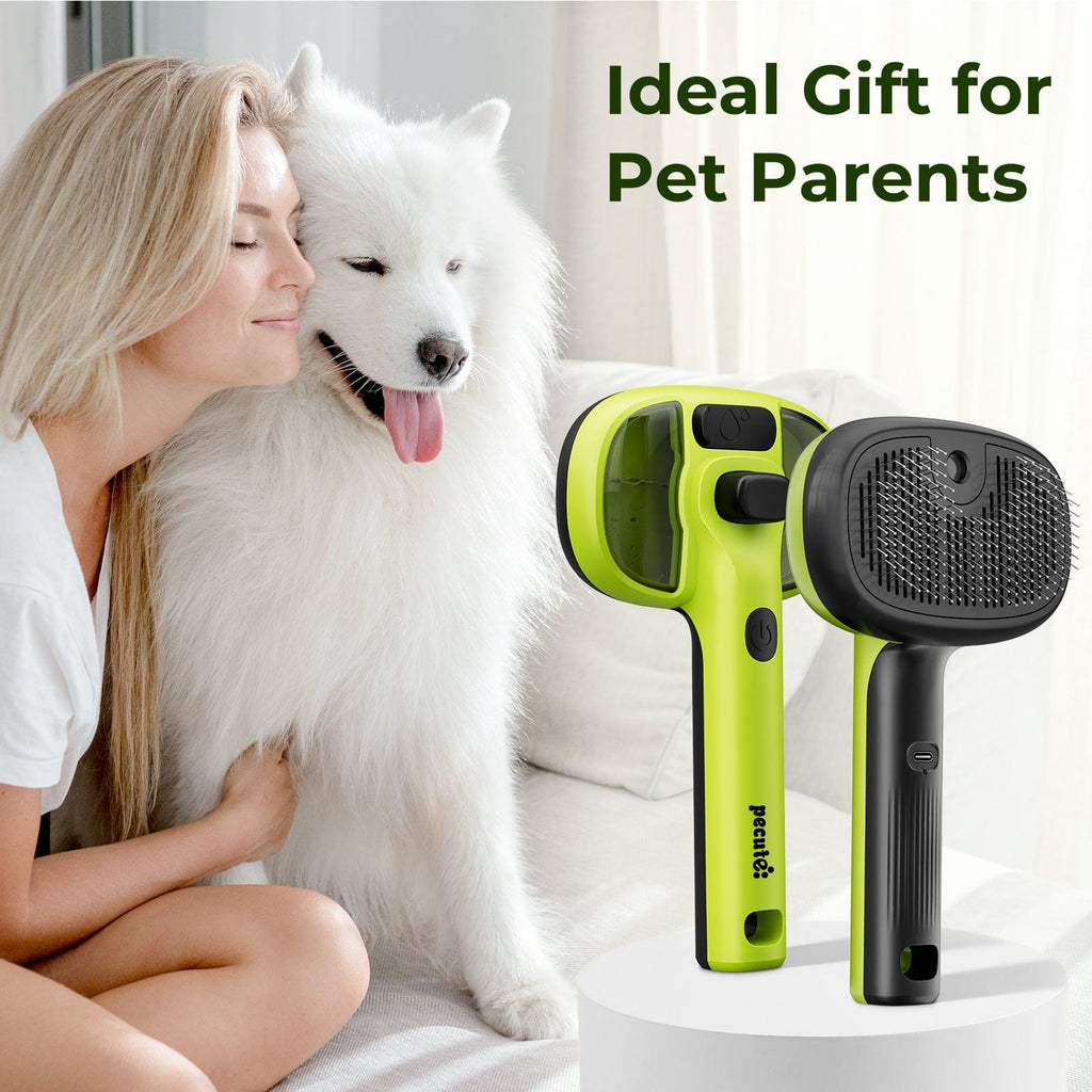 Steam Cat Brush Self-Cleaning Grooming with 2 Water Spray Modes