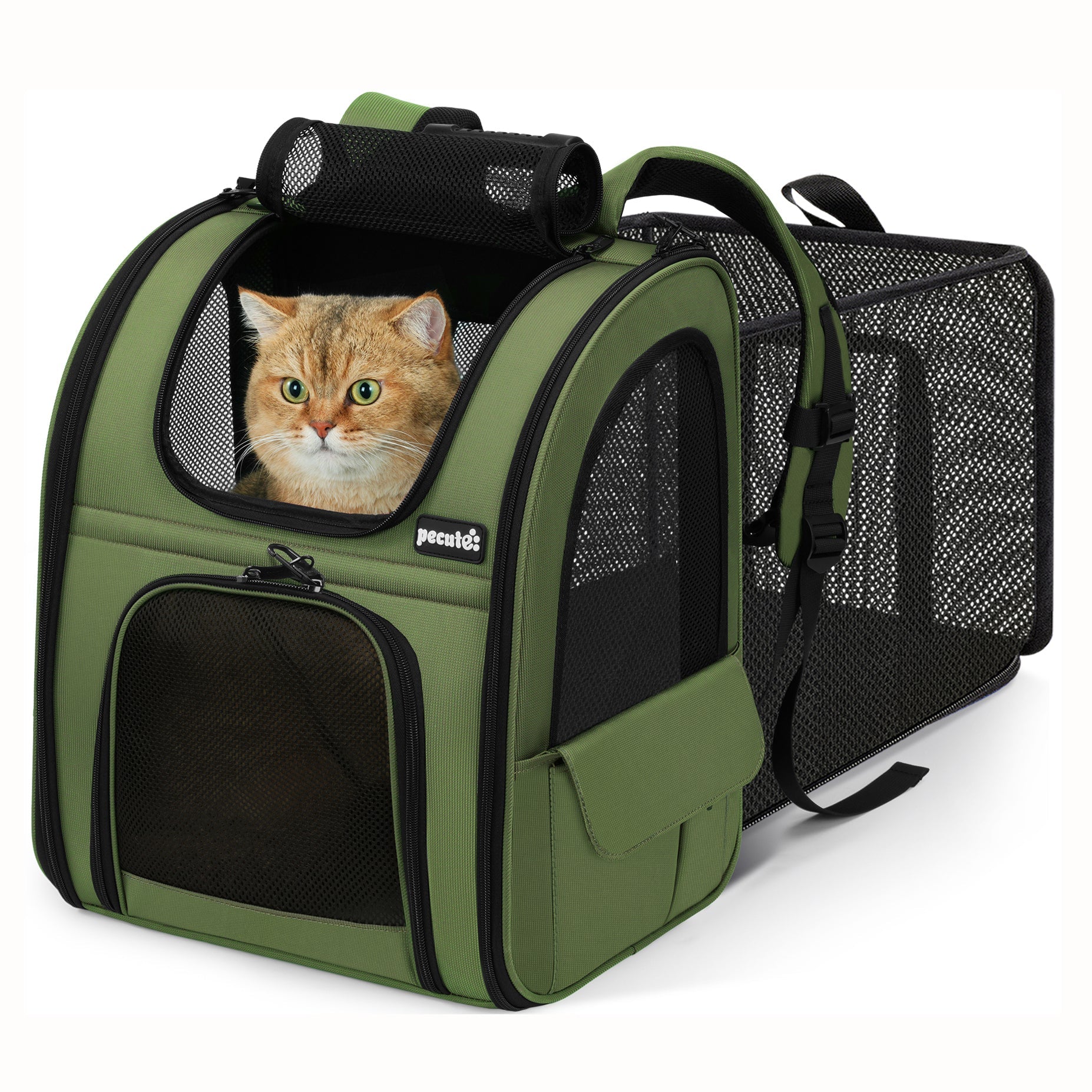 Expandable Breathable Mesh Cat Backpack Carrier (Green)