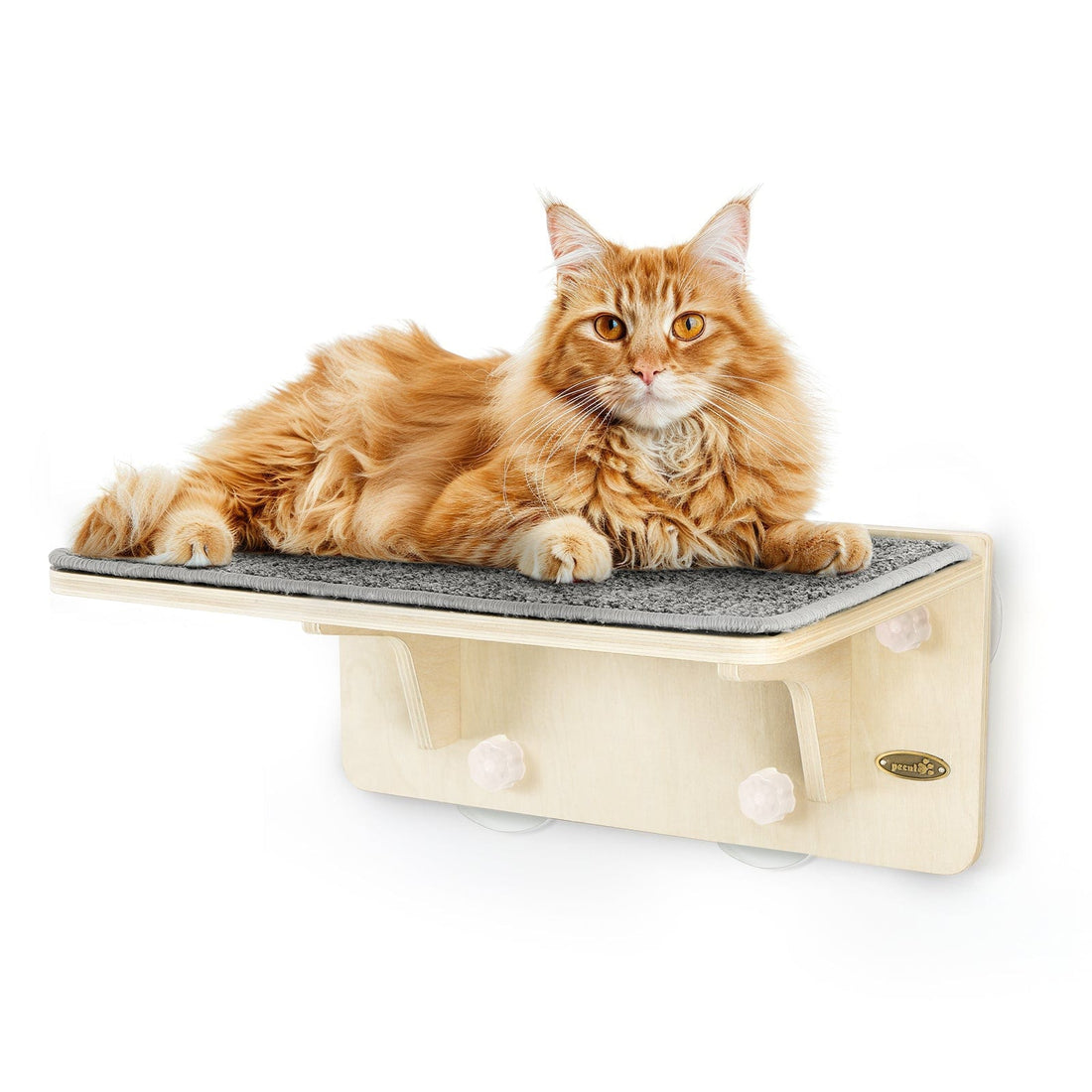 Wood Wall-Mounted Cat Climbing Shelf
