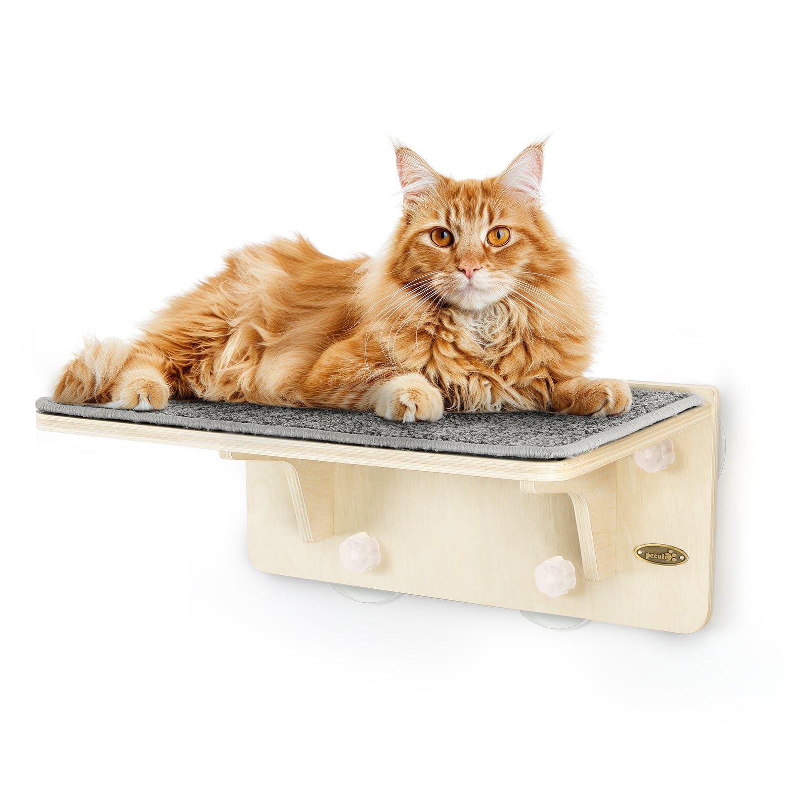 Wood Wall-Mounted Cat Climbing Shelf