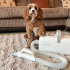 Dog Dryer with Cool-Warm-Hot Cycle Mode
