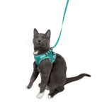 "The True Adventurer" Reflective Cat & Kitten Harness and Leash