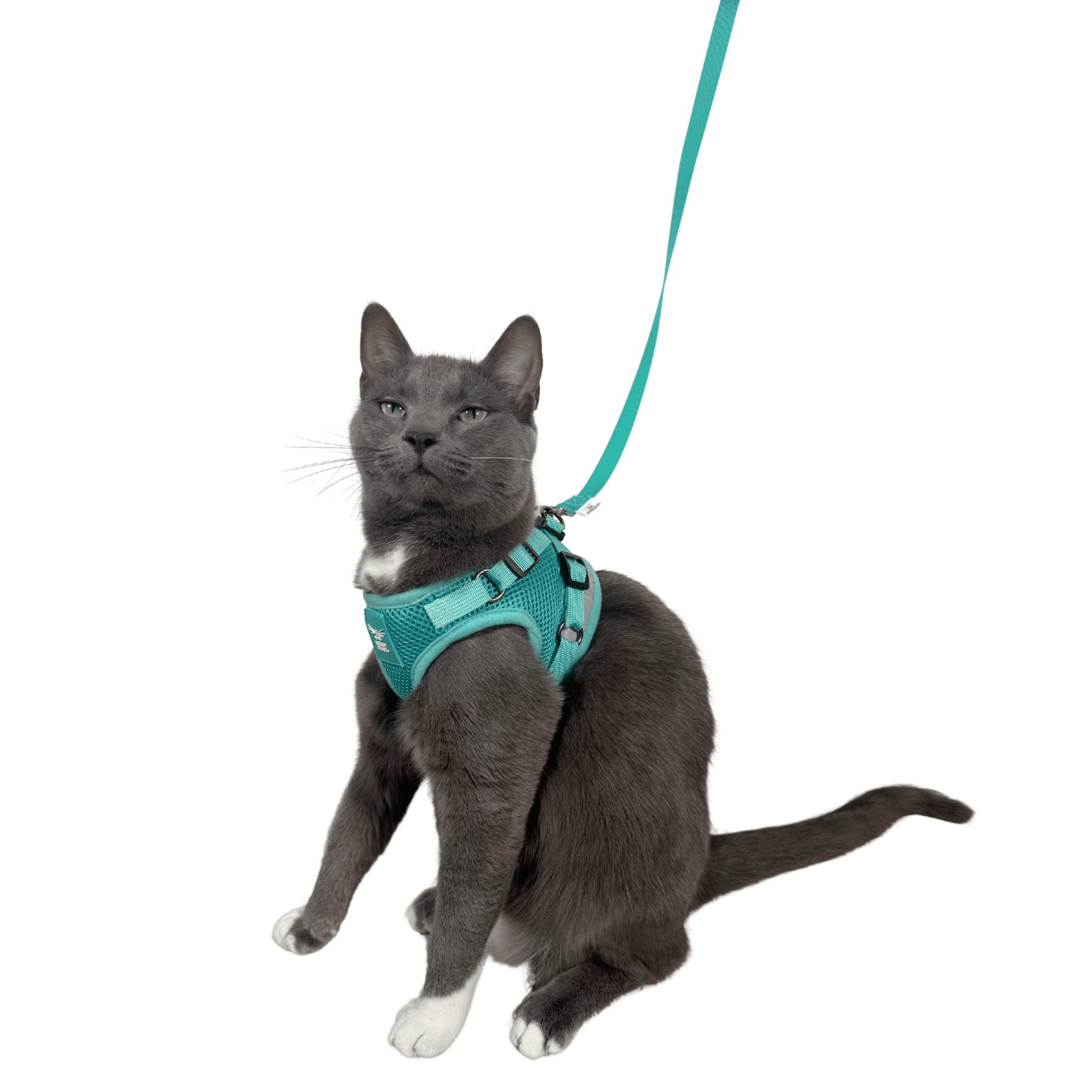 "The True Adventurer" Reflective Cat & Kitten Harness and Leash