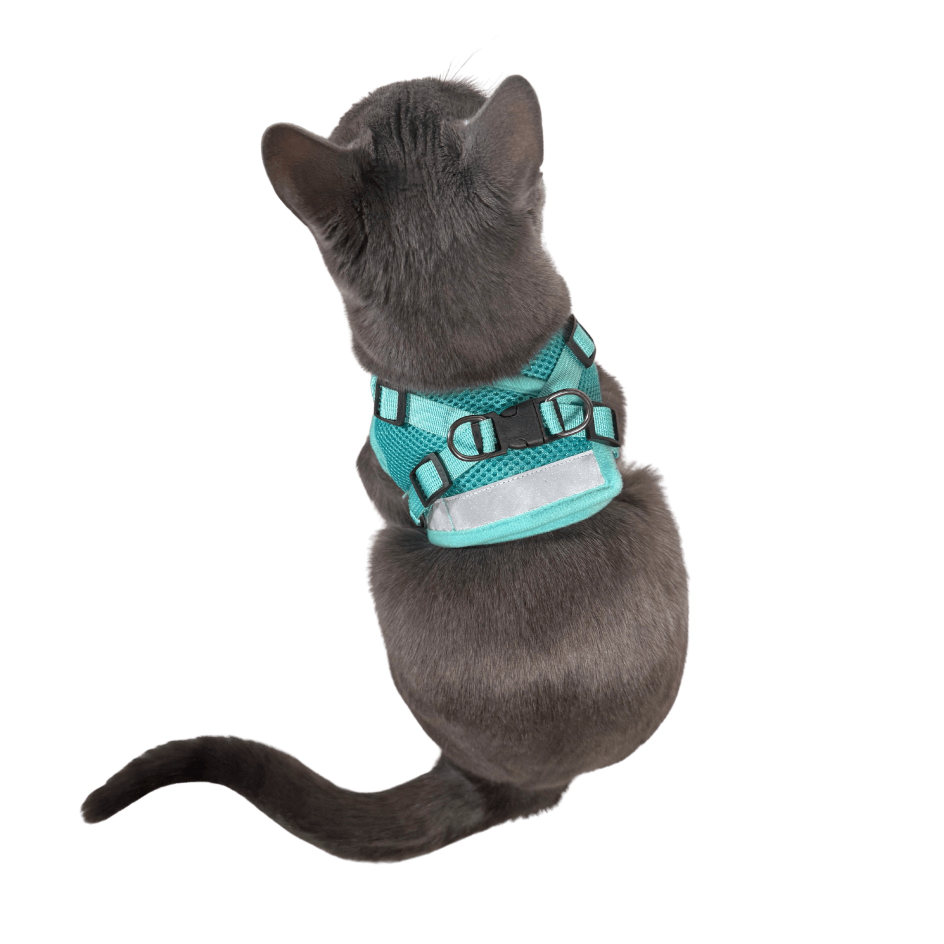 Jackson Galaxy x Travel Cat Complete Bundle