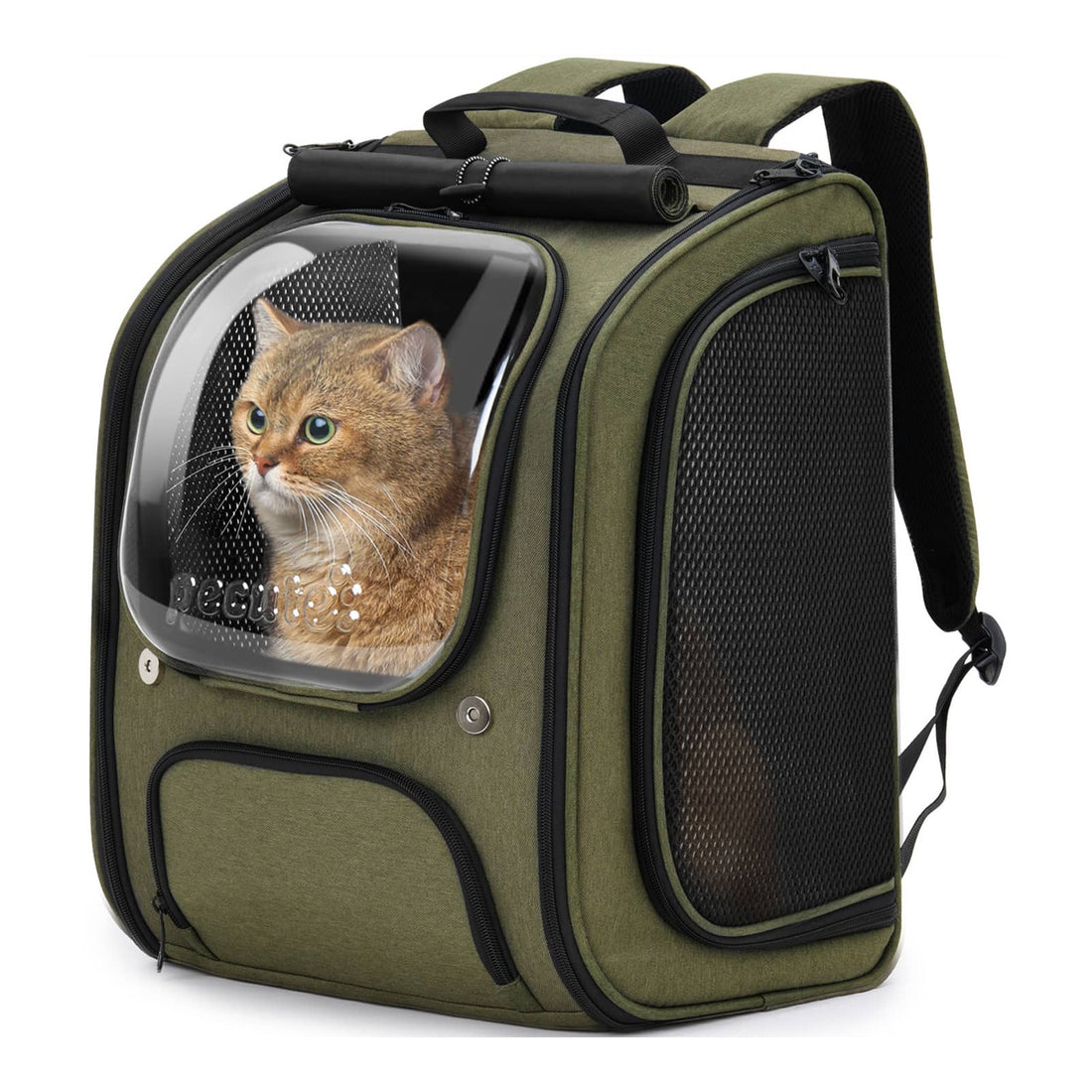 Bubble Cat Backpack Carrier Large Space Ergonomic 3D Design Breathable & Shaded