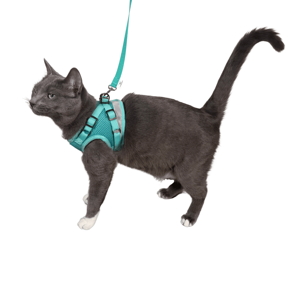 Jackson Galaxy x Travel Cat Complete Bundle