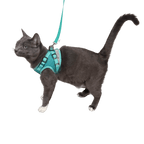 Jackson Galaxy x Travel Cat Complete Bundle