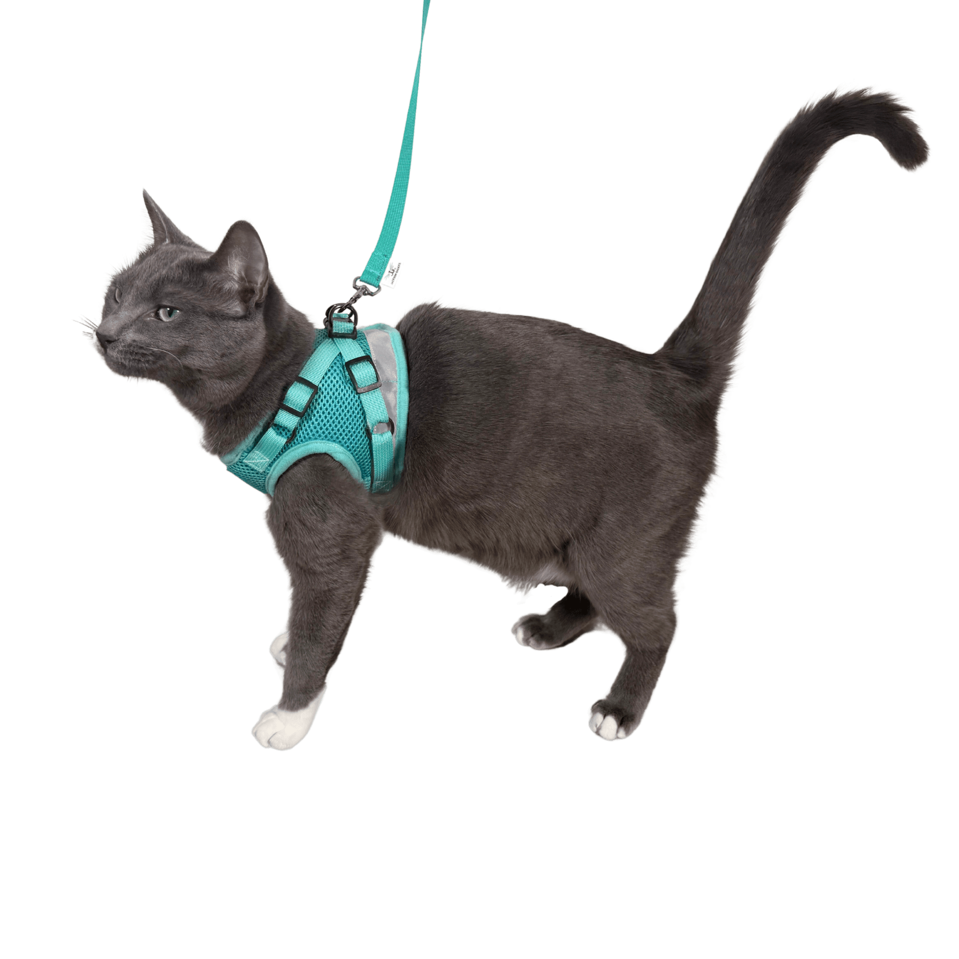 Jackson Galaxy x Travel Cat Complete Bundle