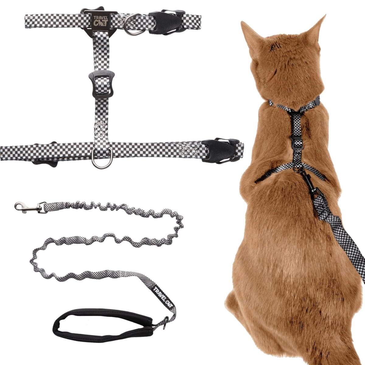 "The True Adventurer" Harness and Leash & "The Day Tripper" Harness & Bungee Leash Set