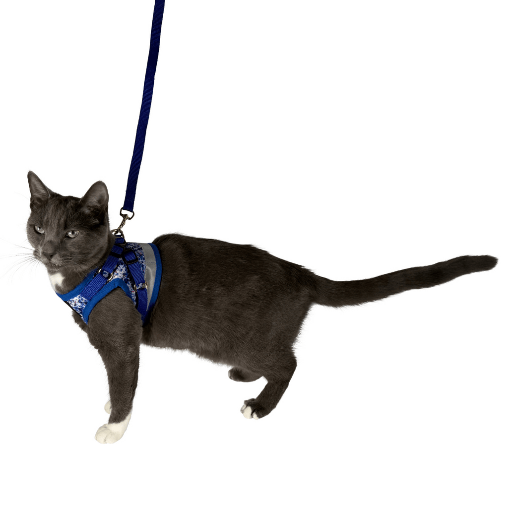 Feline Groovy Bundle
