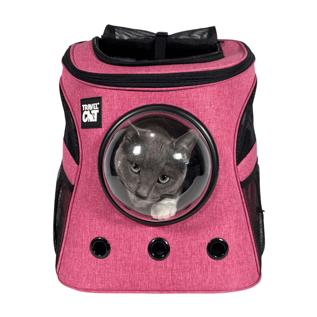 Fat Cat & Day Tripper Bundle