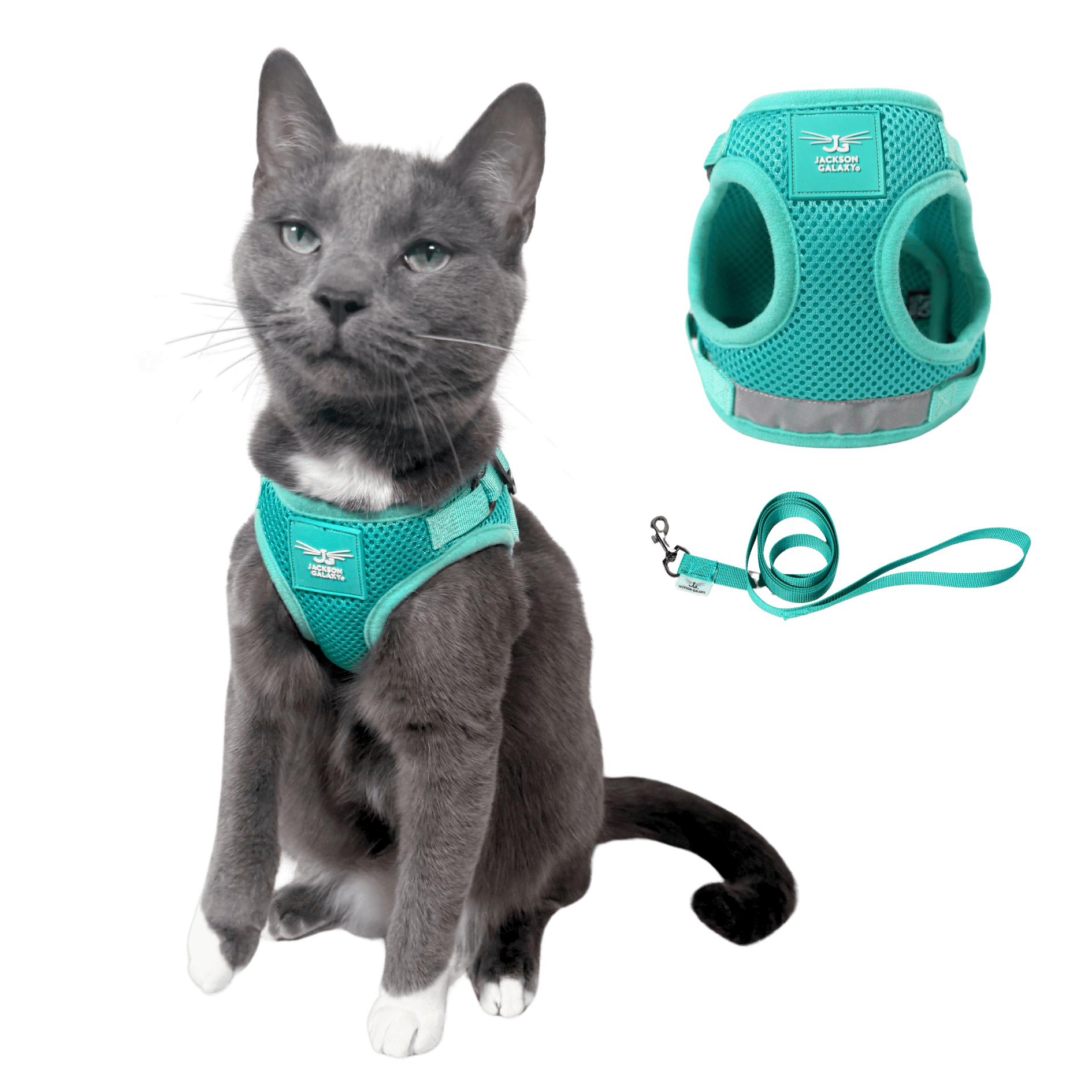 "The True Adventurer" Reflective Cat & Kitten Harness and Leash