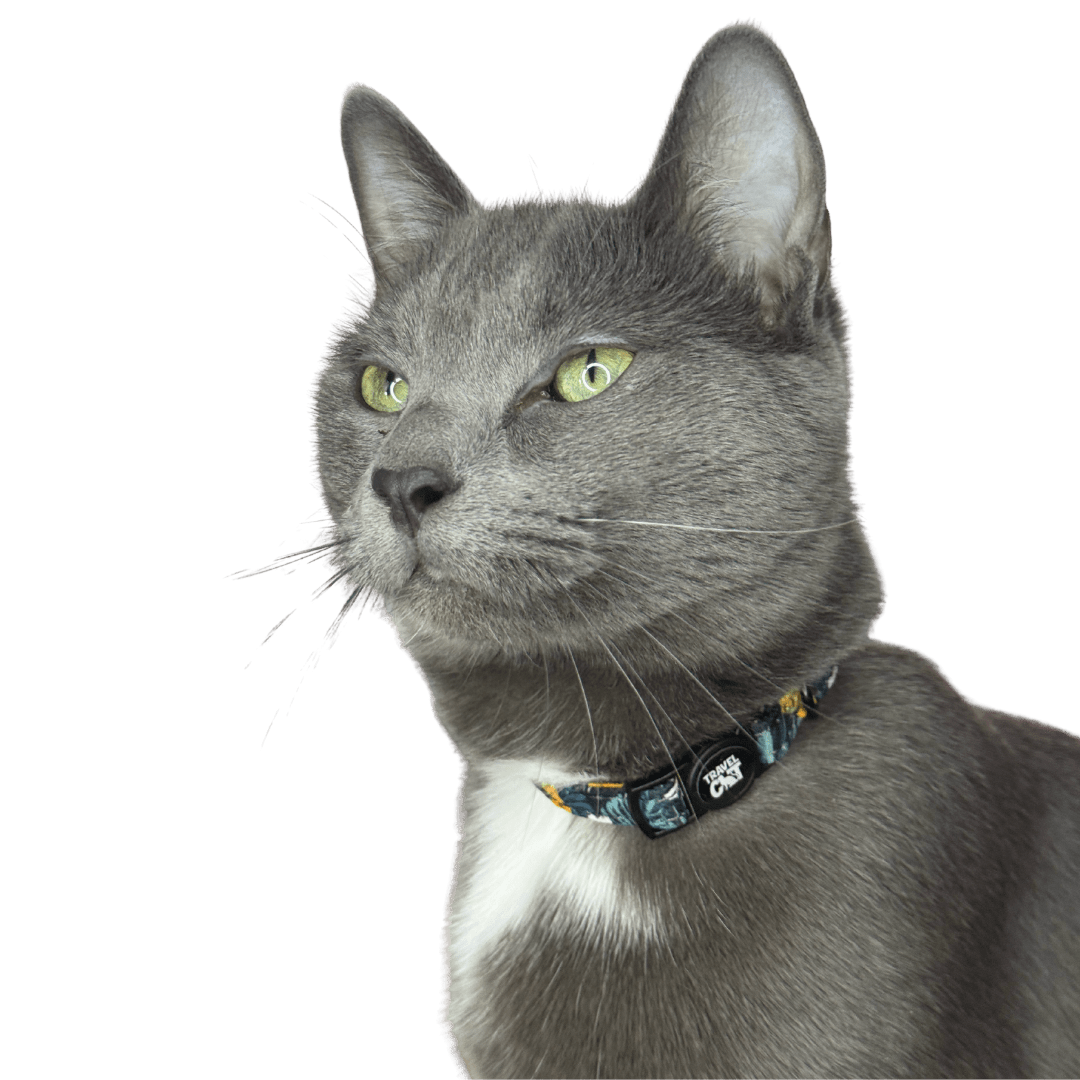 “The Travel Cat” Breakaway Cat Collar