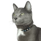 “The Travel Cat” Breakaway Cat Collar