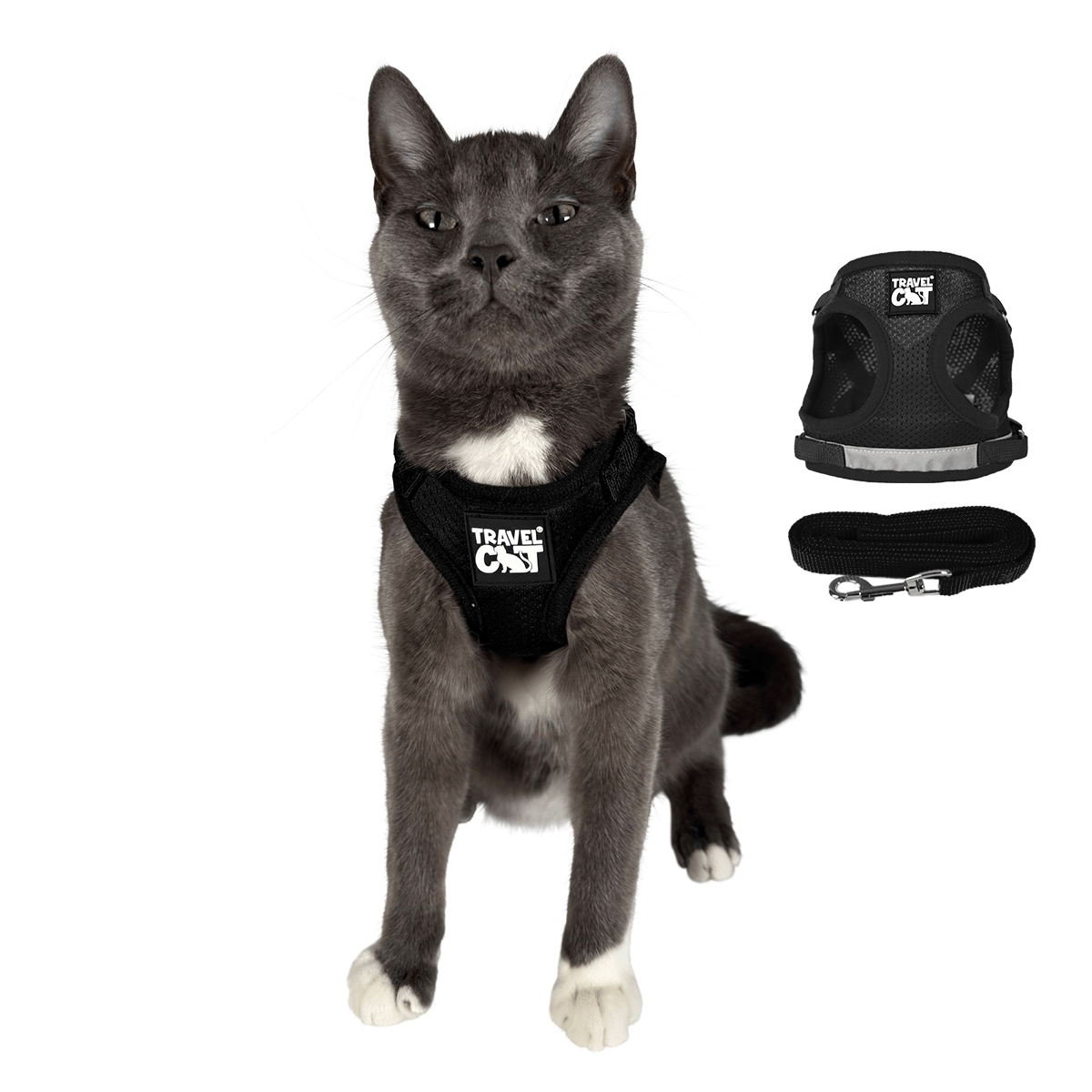"The True Adventurer" Harness and Leash & "The Day Tripper" Harness & Bungee Leash Set