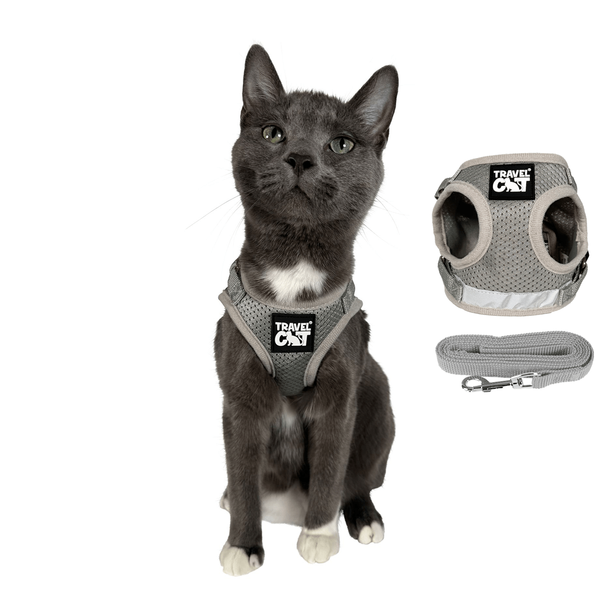 "The True Adventurer" Harness and Leash & "The Day Tripper" Harness & Bungee Leash Set