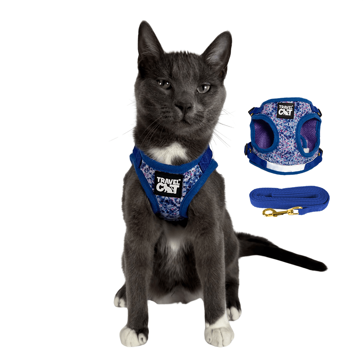 "The True Adventurer" Harness and Leash & "The Day Tripper" Harness & Bungee Leash Set
