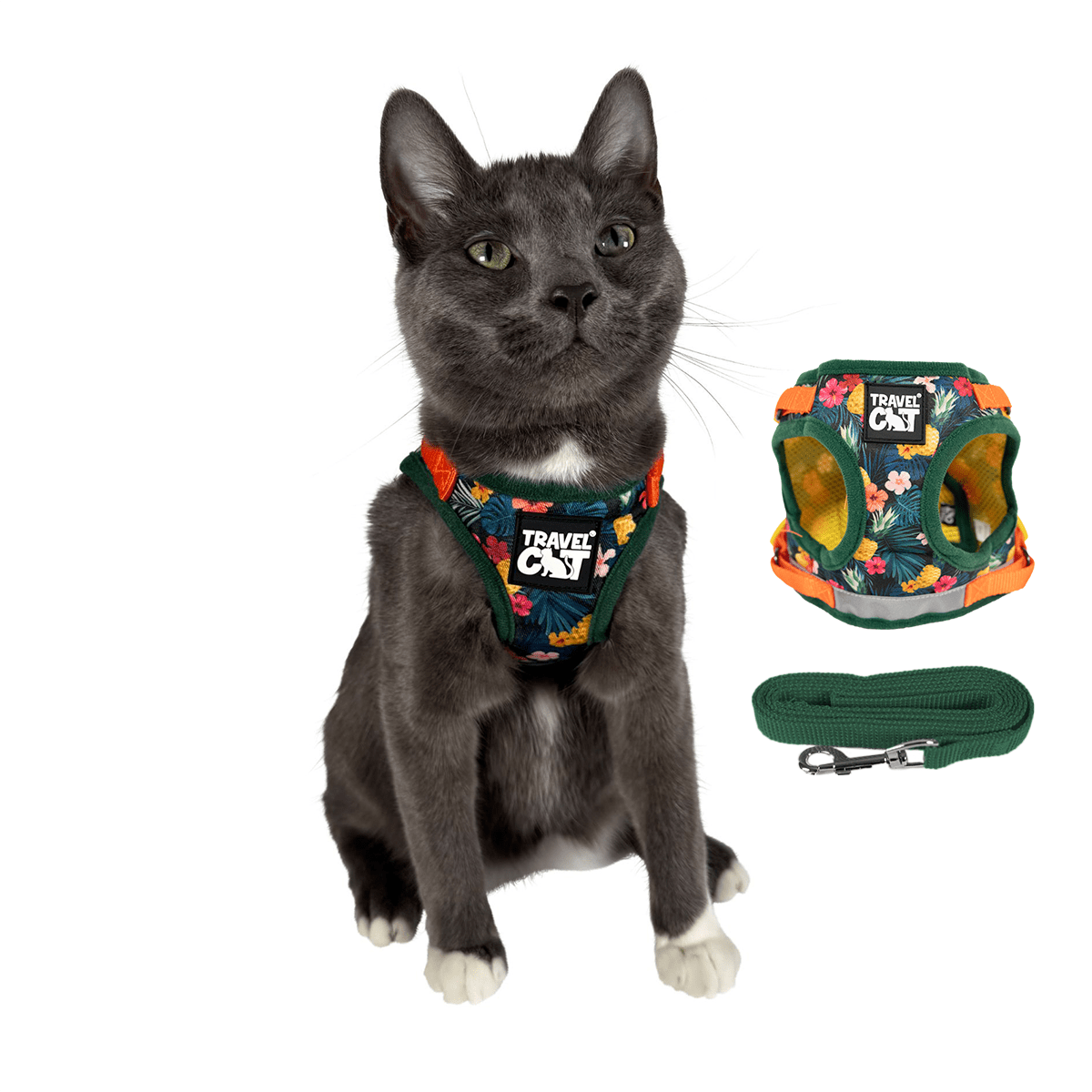 "The True Adventurer" Harness and Leash & "The Day Tripper" Harness & Bungee Leash Set