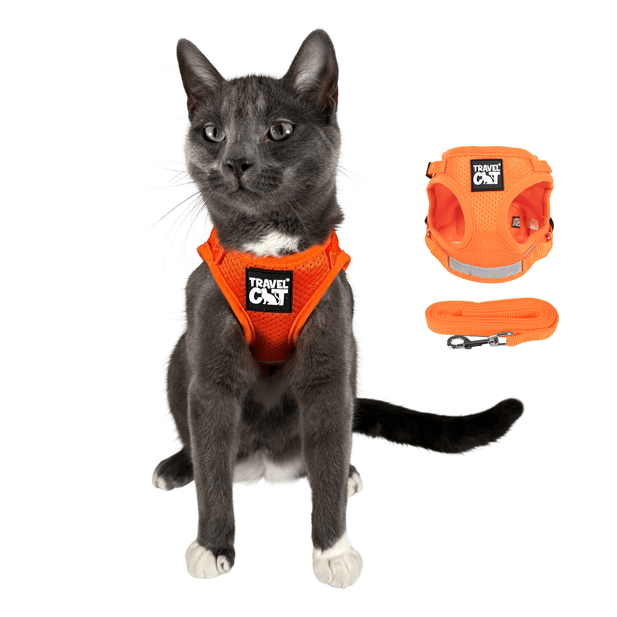 "The True Adventurer" Harness and Leash & "The Day Tripper" Harness & Bungee Leash Set