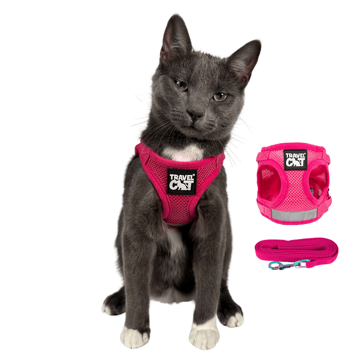 "The True Adventurer" Harness and Leash & "The Day Tripper" Harness & Bungee Leash Set