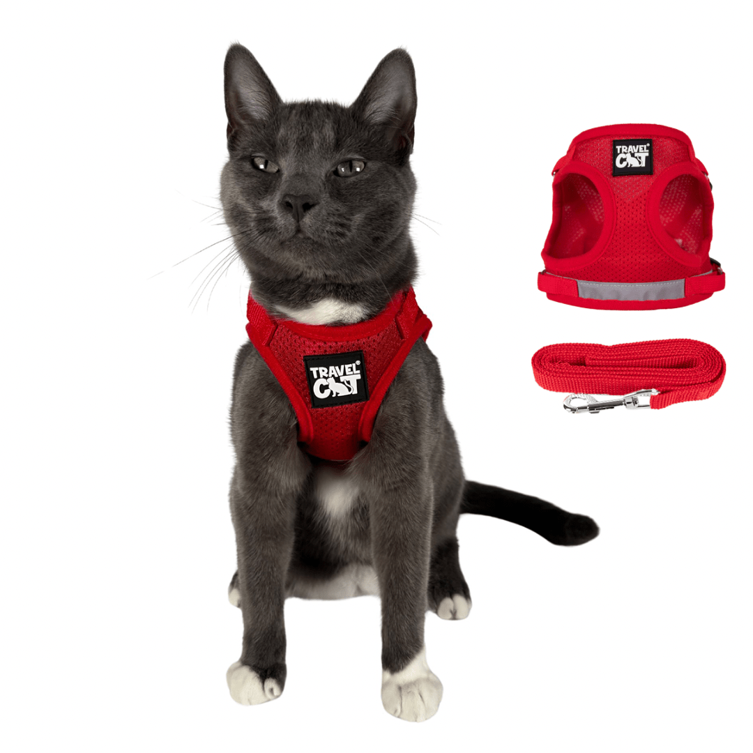 "The True Adventurer" Harness and Leash & "The Day Tripper" Harness & Bungee Leash Set