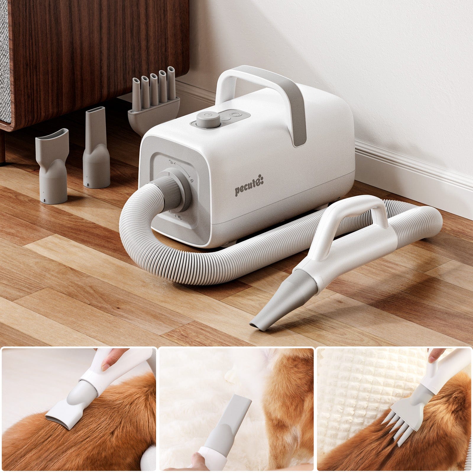 Dog Dryer with Cool-Warm-Hot Cycle Mode