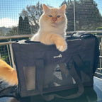 Airline Approved Cat Carrier Handbag Extra Stable Built-in Frame