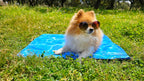 test link
