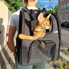 Cat Carrier Dog Backpack Expandable（Black）