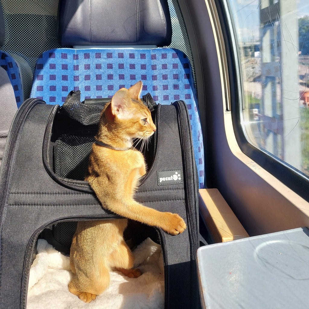 Cat Carrier Dog Backpack (Black)
