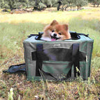 Cat Carrier Handbag Stable Breathable and Portable for Travel and Outing