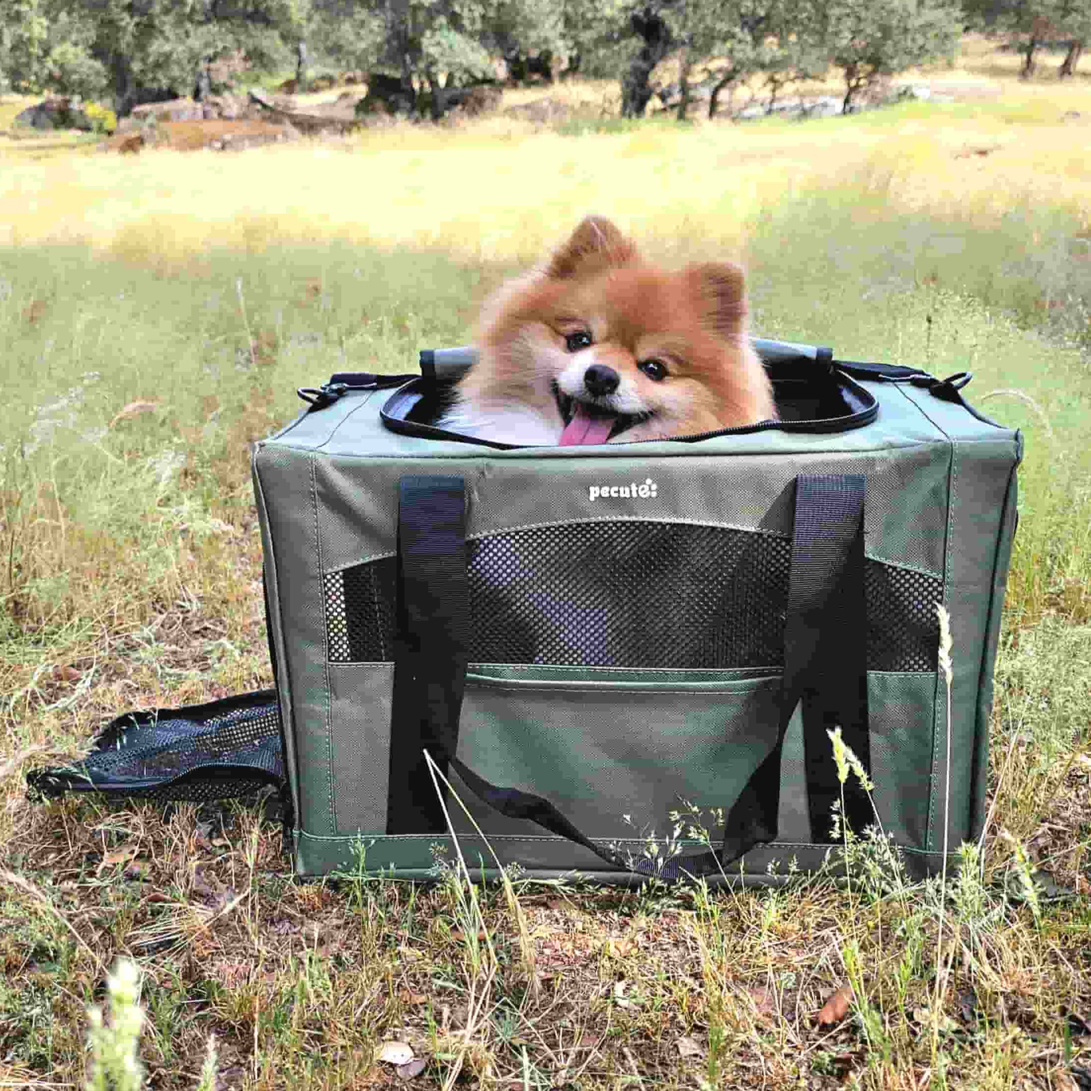 Cat Carrier Handbag Stable Breathable and Portable for Travel and Outing