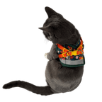 "The True Adventurer" Reflective Cat & Kitten Harness and Leash