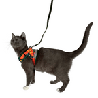 "The True Adventurer" Reflective Cat & Kitten Harness and Leash