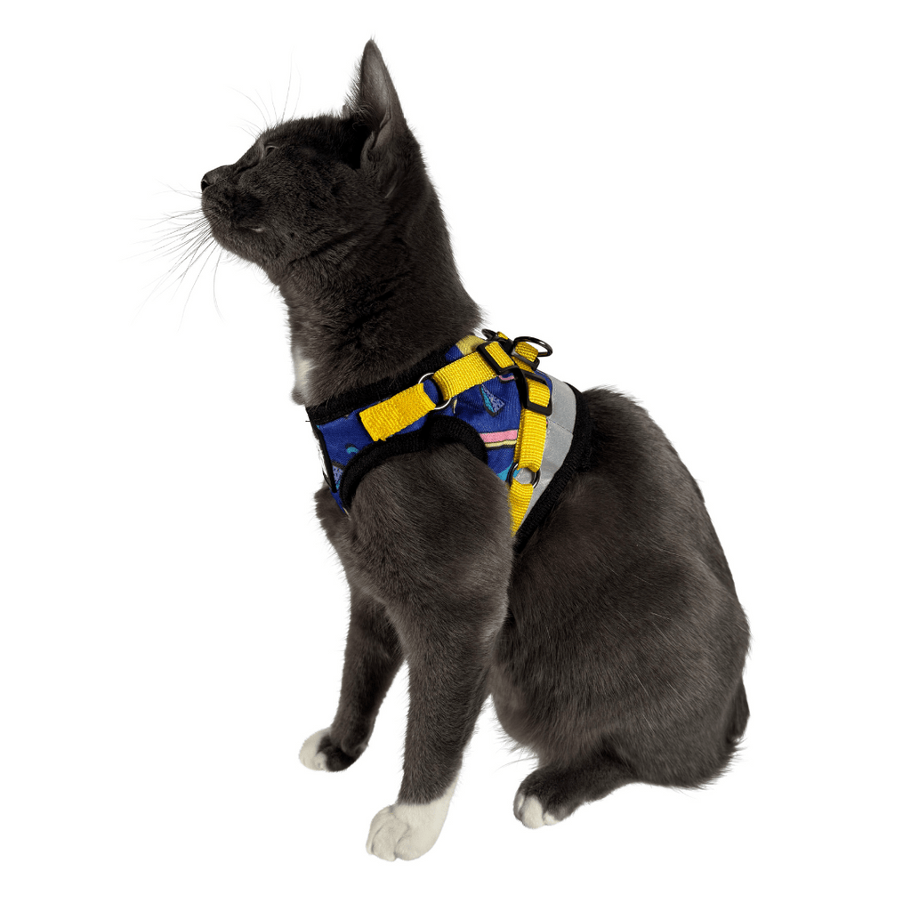 "The True Adventurer" Reflective Cat & Kitten Harness and Leash