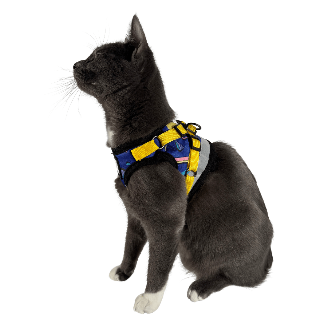 "The True Adventurer" Reflective Cat & Kitten Harness and Leash