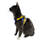 "The True Adventurer" Reflective Cat & Kitten Harness and Leash