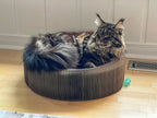 "The Accordion" Travel Cardboard Bed & Scratcher